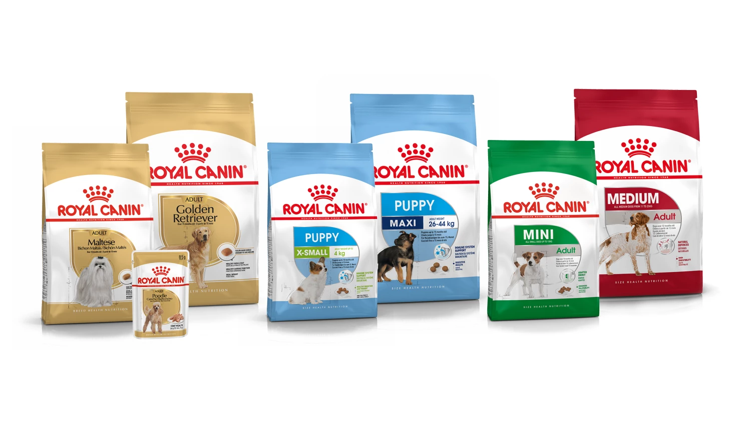 Page de garde -ROYAL CANIN Soldes Magasin 1