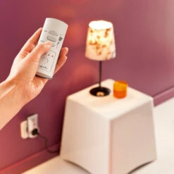 Somfy 2401367 - Télécommande 5 Canaux Pour Prises Et Douilles RTS Blanche -ROYAL CANIN Soldes Magasin 20469223 3