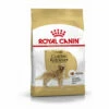 ROYALCANIN Croquettes Royal Canin Golden Retriever Adulte Sac 3 Kg 2 ROYALCANIN Croquettes Royal Canin Golden Retriever Adulte Sac 3 Kg -ROYAL CANIN Soldes Magasin 24497221 1