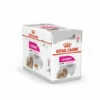 ROYALCANIN Mousse Royal Canin Exigent Pour Chien - 12 Sachets Fraîcheur 85 G