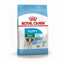 Croquette Chien Royalcanin Mini Junior 800g