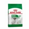 ROYAL CANIN Croquette Chien Royalcanin Mini Adult 8+ 800gr 2 ROYAL CANIN Croquette Chien Royalcanin Mini Adult 8+ 800gr -ROYAL CANIN Soldes Magasin 26974771 1