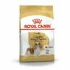 Croquettes Royal Canin Cavalier King Charles : 1,5 Kg -ROYAL CANIN Soldes Magasin 32476766 1