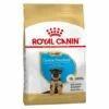 Thine Royal Canin Allemand Berger Chiot (Junior) Chiots De La Race Allemande De Berger (jusqu'š 15 Mois) - 3kg 2 Thine Royal Canin Allemand Berger Chiot (Junior) Chiots De La Race Allemande De Berger (jusqu'š 15 Mois) - 3kg -ROYAL CANIN Soldes Magasin 55418180 1