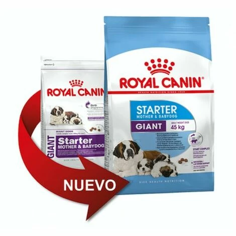 Nourriture Que Royal Canin Giant Starter Giant Taille Taille Des Chiots (jusqu'š 2 Mois) Et Des Mres Enceintes - 15 Kg 3 Nourriture Que Royal Canin Giant Starter Giant Taille Taille Des Chiots (jusqu'š 2 Mois) Et Des Mres Enceintes - 15 Kg