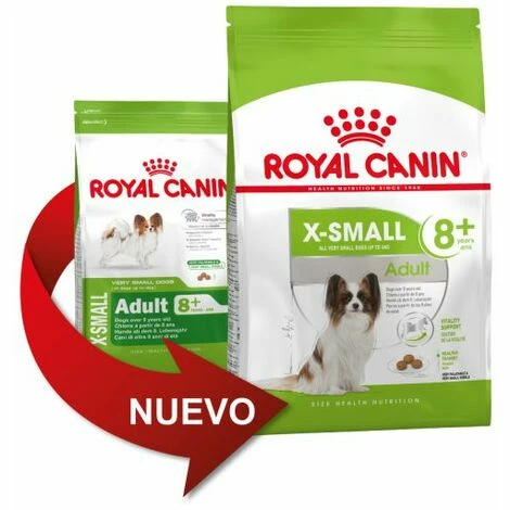 Nourriture Que Royal Canin X-Petit Adulte 8+ Trs Petites Chiens De Race (š Partir De 8 Ans) - 500g 3 Nourriture Que Royal Canin X-Petit Adulte 8+ Trs Petites Chiens De Race (š Partir De 8 Ans) - 500g