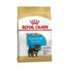 Nourriture Que Royal Canin Yorkshire Terrier Chiot (Junior) Pour Chiots (jusqu'š 10 Mois) - 500g 2 Nourriture Que Royal Canin Yorkshire Terrier Chiot (Junior) Pour Chiots (jusqu'š 10 Mois) - 500g -ROYAL CANIN Soldes Magasin 55418345 1