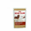 Royal Canin Dachshund Adult 85g Aliments Creux Pour Teckel (š Partir De 10 Mois) - 12 Enveloppes 85g 1 Royal Canin Dachshund Adult 85g Aliments Creux Pour Teckel (š Partir De 10 Mois) - 12 Enveloppes 85g -ROYAL CANIN Soldes Magasin 55418407 1