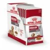 Royal Canin Adulte Moyen Vieillissement 10+ - Viande š Salsa - 10 Enveloppes X 140 Gr 1 Royal Canin Adulte Moyen Vieillissement 10+ - Viande š Salsa - 10 Enveloppes X 140 Gr -ROYAL CANIN Soldes Magasin 55419042 1