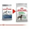 Nourriture Que Royal Canin Maxi Soins Digestifs Grands Chiens Avec Des Pistes Sensibles - SACE 10 Kg 2 Nourriture Que Royal Canin Maxi Soins Digestifs Grands Chiens Avec Des Pistes Sensibles - SACE 10 Kg -ROYAL CANIN Soldes Magasin 55419133 1