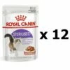 Royal Canin Feline Soins Nutrition Apptit Control, Aliments Creux Dans La Sauce Pour Chat, 12 X 85 G 2 Royal Canin Feline Soins Nutrition Apptit Control, Aliments Creux Dans La Sauce Pour Chat, 12 X 85 G -ROYAL CANIN Soldes Magasin 55424919 1