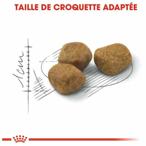 ROYAL CANIN Croquette Chat Royalcanin Indoor 7+ 400gr 4 ROYAL CANIN Croquette Chat Royalcanin Indoor 7+ 400gr - Image 2