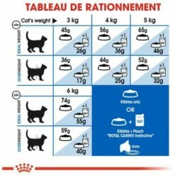 ROYAL CANIN Croquette Chat Royalcanin Indoor 400gr 9 ROYAL CANIN Croquette Chat Royalcanin Indoor 400gr -ROYAL CANIN Soldes Magasin 55659504 4