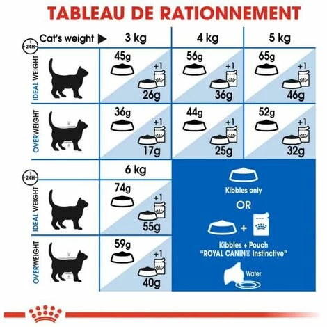 ROYAL CANIN Croquette Chat Royalcanin Indoor 400gr 6 ROYAL CANIN Croquette Chat Royalcanin Indoor 400gr - Image 4