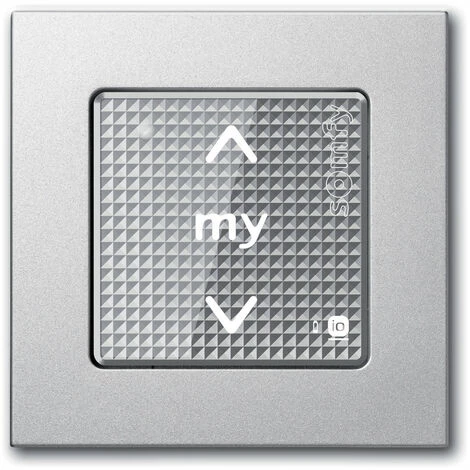 Somfy 9015025 - Cadre PVC Couleur Acier Mat Pour Commande Murale Smoove - Argent 4 Somfy 9015025 - Cadre PVC Couleur Acier Mat Pour Commande Murale Smoove - Argent - Image 2