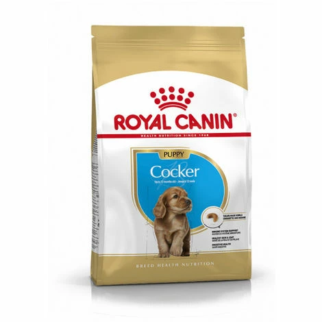 ROYALCANIN Croquettes Pour Chiot Cocker Royal Canin Breed Junior - Sac 3 Kg 3 ROYALCANIN Croquettes Pour Chiot Cocker Royal Canin Breed Junior - Sac 3 Kg
