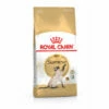 ROYALCANIN Croquettes Pour Chats Royal Canin Siamese Sac 2 Kg 1 ROYALCANIN Croquettes Pour Chats Royal Canin Siamese Sac 2 Kg -ROYAL CANIN Soldes Magasin 8898972 1